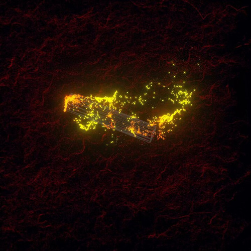 dm oVB6SuKjMVIwU.jpg