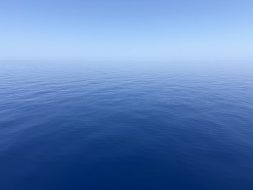 IMG 1006.jpg