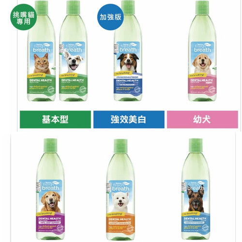 image WH 1200x1200px (14).jpg