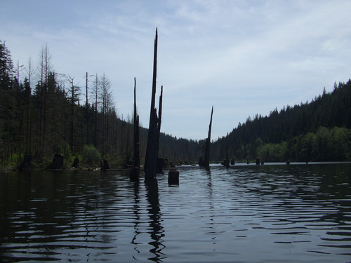 2015 0802finepix0007.jpg
