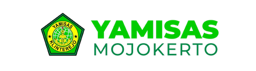 123 removebg preview (1).png