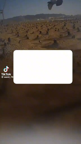 gFpEHZbxsGPM8RHh.jpg