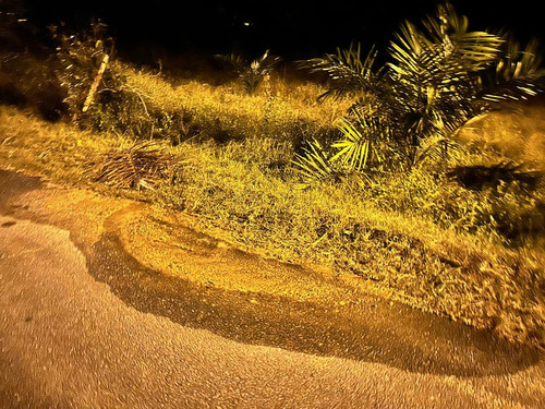 WhatsApp Image 2025 07 12 at 10.08.41 AM.jpg