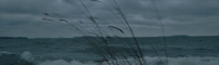 New Project (60).png