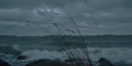 New Project (61).png