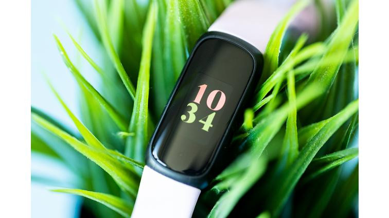 None Close up of Fitbit Inspire 3 screen. The Fitbit is resting on a vibrant green plant.