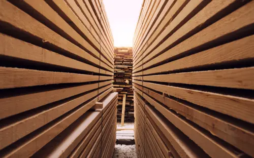 Untitled design (21).webp