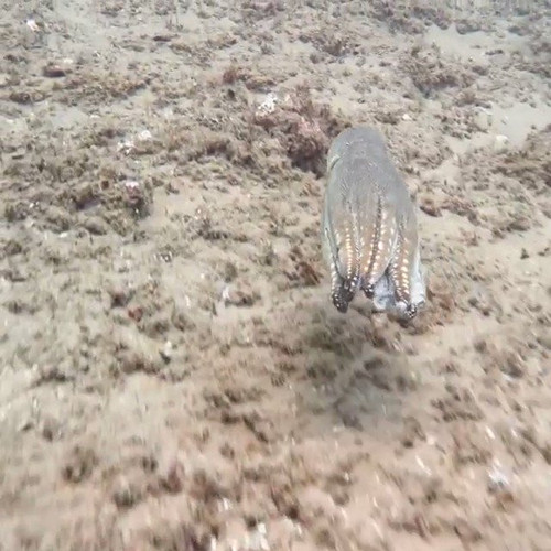 28 SkQ0pX68kCYg2.jpg