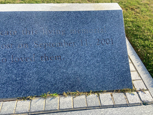 image1.jpg
