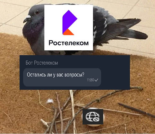15af82411bf5.png