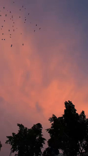 NGIZ4wXBU6WPC4b4.jpg
