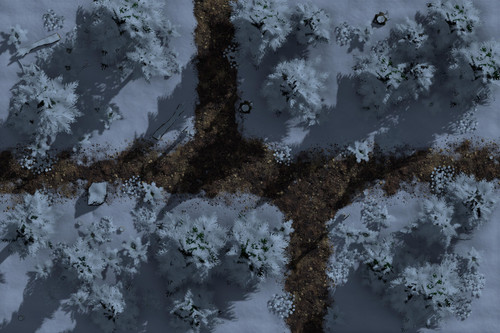 Camino Cruz Invierno Noche Ort.jpg