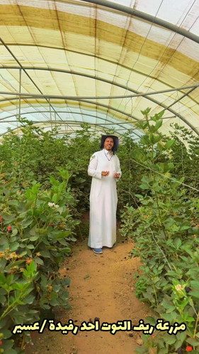 H7fuYvlwfdElg4 k.jpg