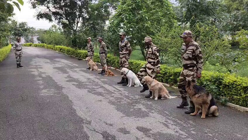 Qy9ieIlLZNL JfGe.jpg