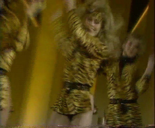cap S06E30 Solid Gold Greg Kihn Band, Stephen Bishop, Animotion, Janet Jackson (1986 05 10) 00 11 02.jpg