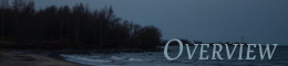 New Project (65).png