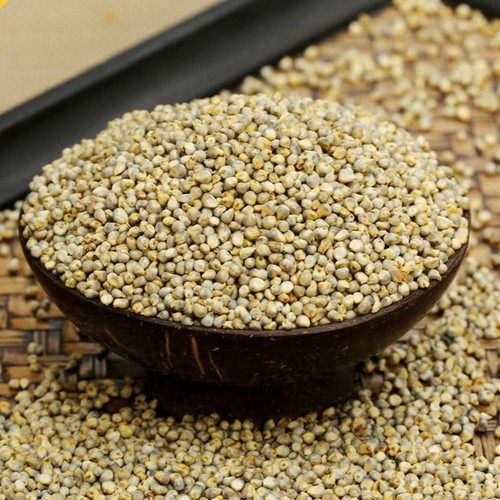 bajra seed.jpg