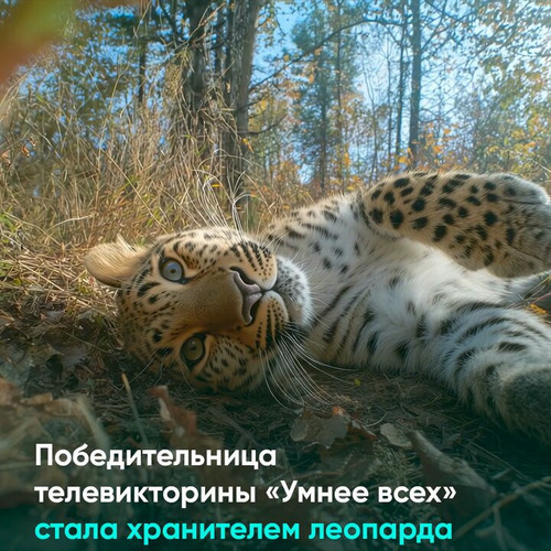 rFb6pmW0V5O5Fcrc.jpg