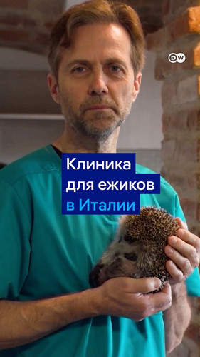 GvlZyBea4AAw5ez.jpg