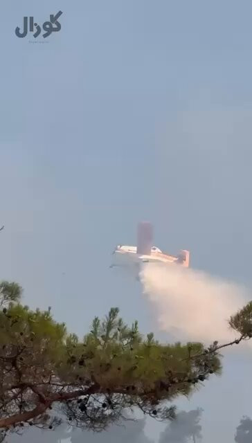 IcTO1eOjNrbi 0ZC.jpg