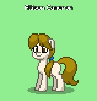 cameron pony.jpg