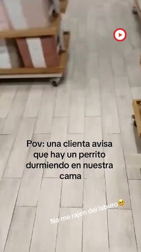 bLJWL5GpJEZ5uohT.jpg