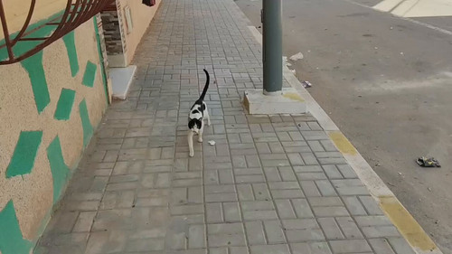 tUbjQaiSbg0V ieU.jpg