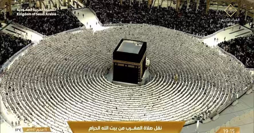 YA1J QyOibZY9tlf.jpg