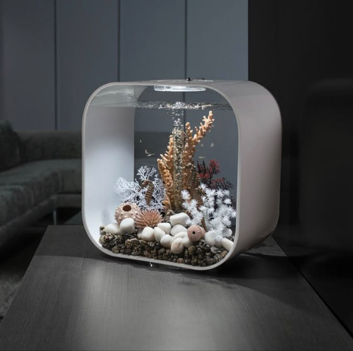 Fish tank аквариум.jpg