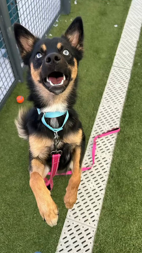 d 0A4nKD WCmOjE .jpg