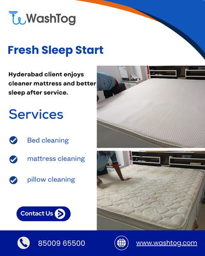 Are you concerned about dust mites in your mattress..png