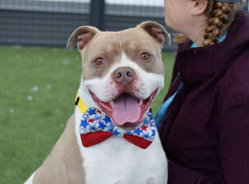 Gu UGjZb0AE6iFB?format=jpg.jpg