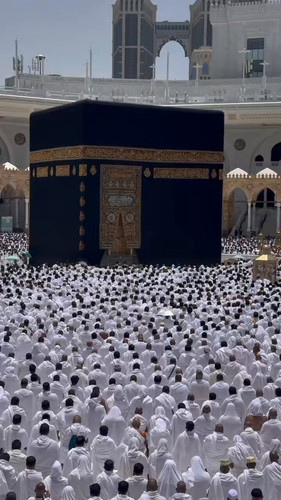 DgnzrDGapNCl8DR5.jpg