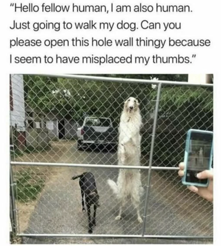 Screenshot 2025 07 11 at 12.28.16 PM.png