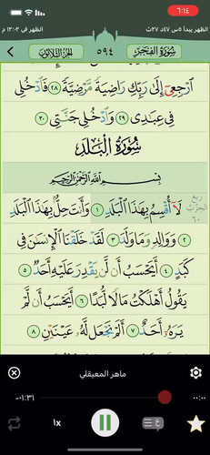 LMV2bBRnR5 MPOr1.jpg