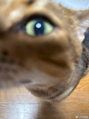 img 1752301080703a8fb776c7408c14af90632d042a4161ac072ef45c728afa94bded3aa5bf10219.jpg