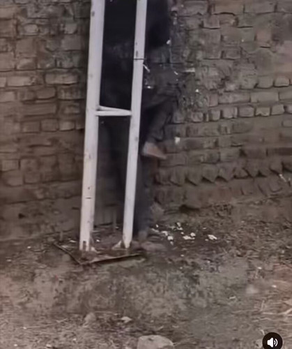 eMz9AiNTaBaFpejL.jpg