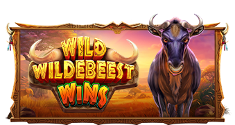 WILD WILDEBEEST WINS 339x180.png