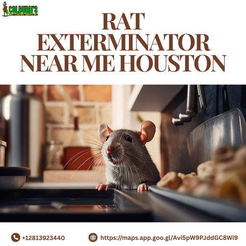 Say Goodbye to Pests: Expert Rat, Bug, and Bed Bug Extermination in Houston with Colburn's Pest.png