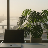 مكتب مهندس ياسر نهارا 775×2816 .png
