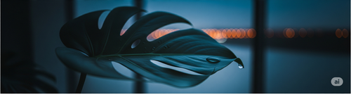 نباتات4 ليلا 758×2816 .png.png
