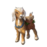 cabrito