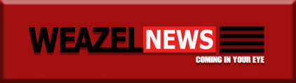 Weazelnews.png