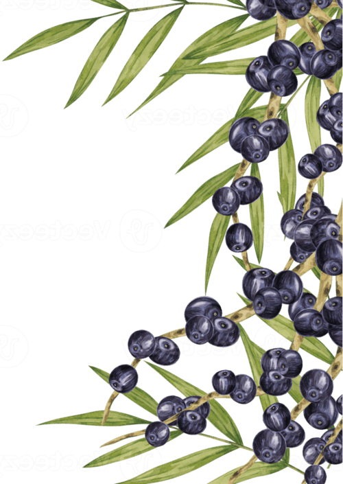 RoxaBowl Logo(3)01.png