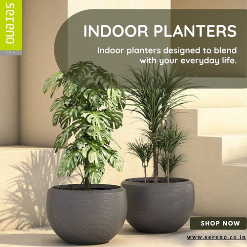 Stylish Indoor Planters for Every Room.jpg