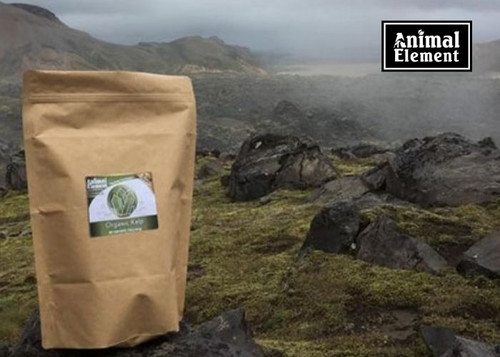 Boost Equine Health Naturally with Kelp for Horses.jpg