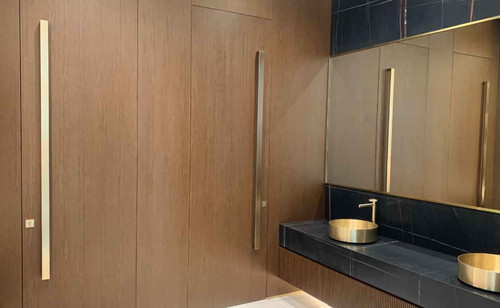 🚪 Title: Elegant Door Furniture & Concealed Hinges.jpg