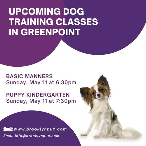 Dog Manners Training Near Me.jpg