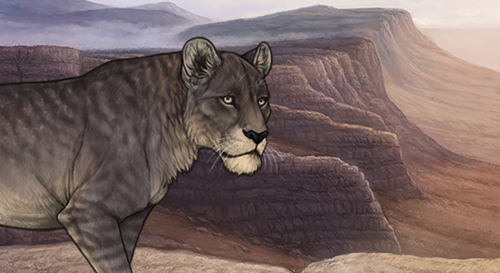 Walker ad for Cridhe page.png