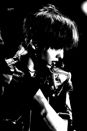 image 2025 06 01 233937694.png